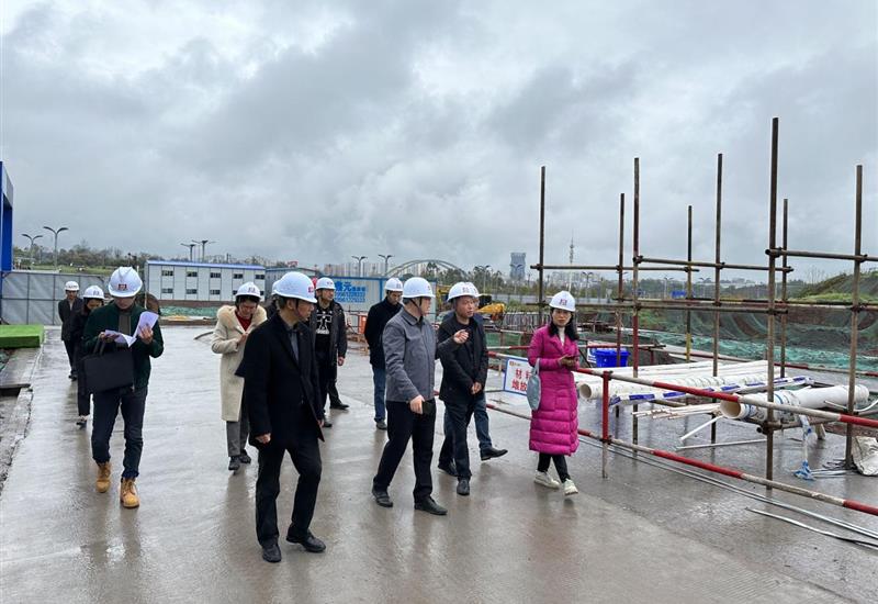 市、区水务局赴威廉希尔·天空的院子项目开展现场指导工作 (2)_800-550